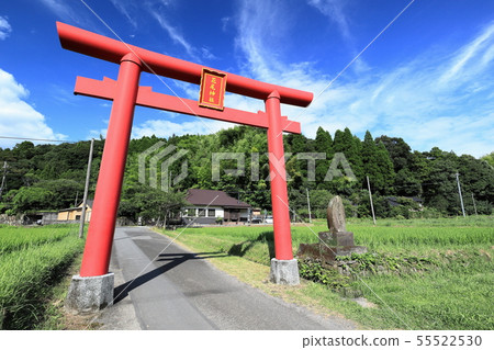 Haneda Shrine Haneda Shrine 55522530