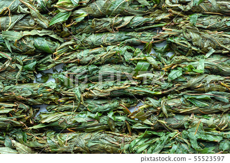Tea leaf twisted. Blooming Sally fermentation.  55523597