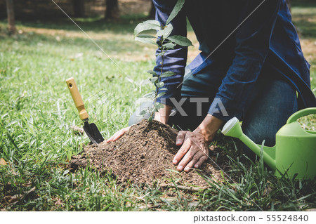 World environment day reforesting, Hands of young World environment day reforesting, Hands of young 55524840