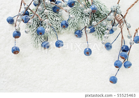 Blue berries and green Christmas fir branch Blue berries and green Christmas fir branch 55525463