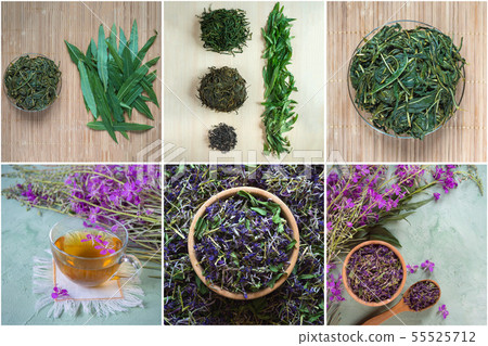 Collage with hand-cooking fermented koporye tea. 55525712