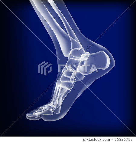 Dark blue visualization of bones of foot. Dark blue visualization of bones of foot. 55525792