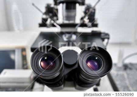Process of in vitro fertilization in laboratory Process of in vitro fertilization in laboratory 55526090