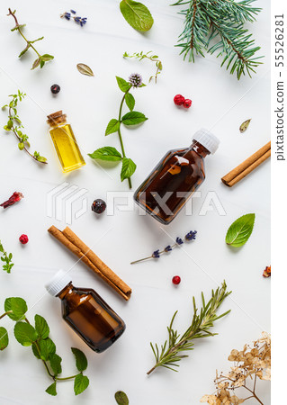 Ingredients for essential oil. Different herbs Ingredients for essential oil. Different herbs 55526281