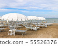 Empty beach with white sunshades, Italy, Riccione 55526376