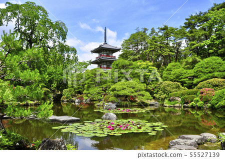 Soto佛教寺廟的日本庭院和三重塔 Soto佛教寺廟的日本庭院和三重塔 55527139