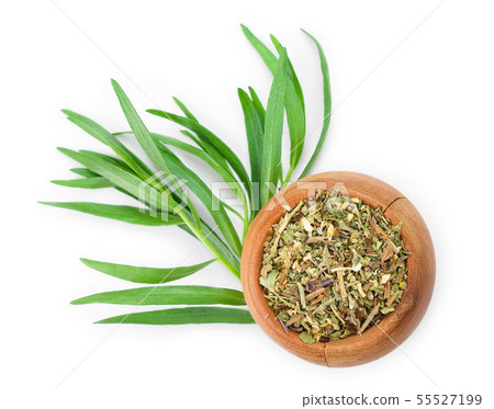 tarragon or estragon fresh and dried isolated on a white background with copy space for your text tarragon or estragon fresh and dried isolated on a white background with copy space for your text 55527199