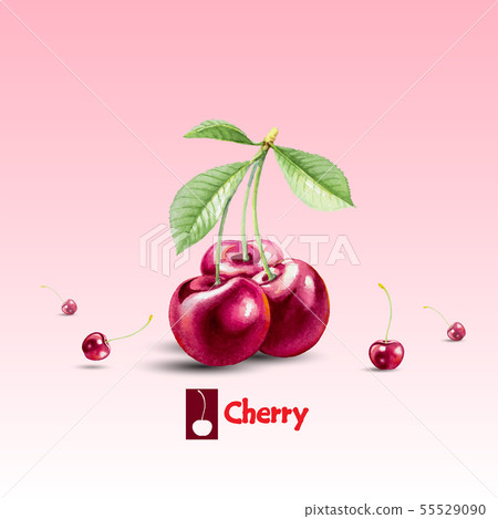 Vector card banner with bright red cherry Vector card banner with bright red cherry 55529090