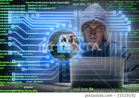 Young hacker in cybersecurty concept Young hacker in cybersecurty concept 55529192