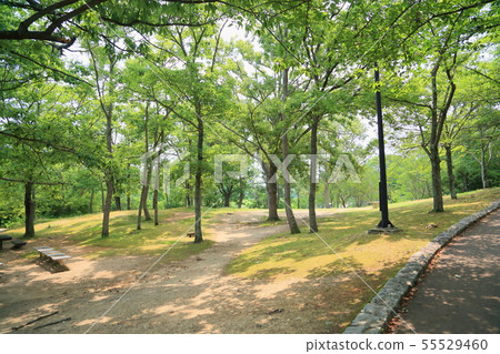 summer park summer park 55529460