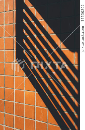 Brick wall with shadow 55530202