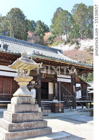 Zenzenji Zenzenji 55530657