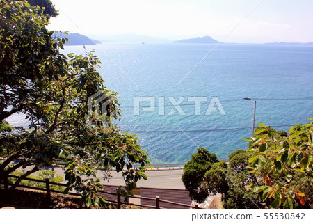 Kinin Park (Shiga Island) "Kan Commission King" 55530842