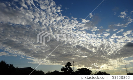朝日和雲 55530863