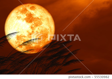 blood strawberry moon on night red sky back 55530982