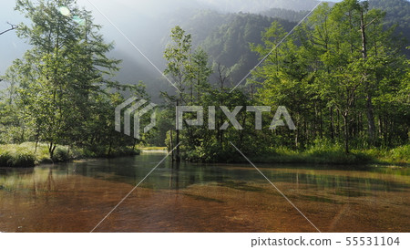 Kamikochi / Tashiro Mire in summer 55531104