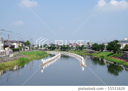 Lantern festival 55531620