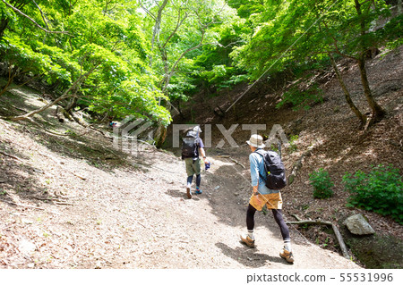 攀登山的一個人的背面圖 攀登山的一個人的背面圖 55531996