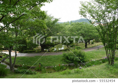 幸福村 幸福村 55532454
