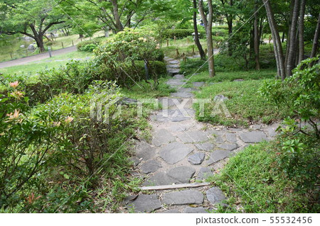 幸福村 55532456