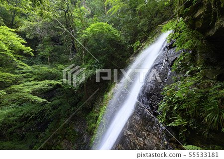 Taki Falls (Yoshino-gun, Nara Prefecture) Taki Falls (Yoshino-gun, Nara Prefecture) 55533181