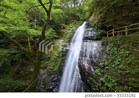 Taki Falls(奈良縣吉野郡) Taki Falls(奈良縣吉野郡) 55533192