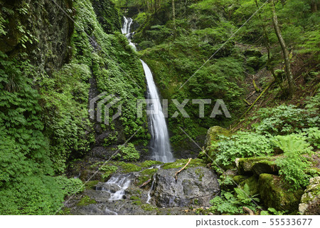 大天花板瀑布(吉野郡,奈良) 大天花板瀑布(吉野郡,奈良) 55533677