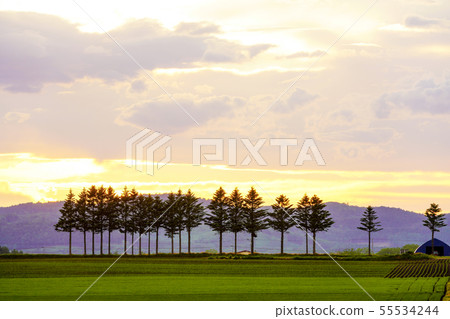 Sunset clouds over the sky 55534244