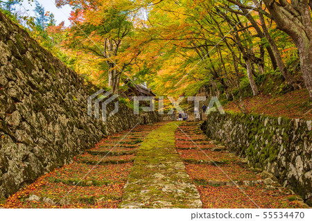 Autumn Shiga Koto Sanzan Hyakusaiji Omotesando Autumn Shiga Koto Sanzan Hyakusaiji Omotesando 55534470