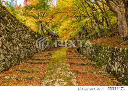 秋天滋賀江東三山百治寺表參道 秋天滋賀江東三山百治寺表參道 55534471