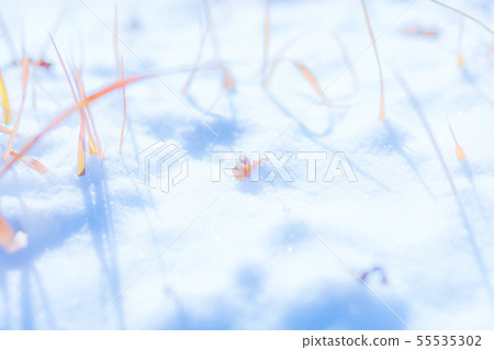 雪景 雪景 55535302