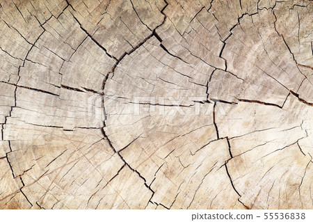 Wood texture background Wood texture background 55536838