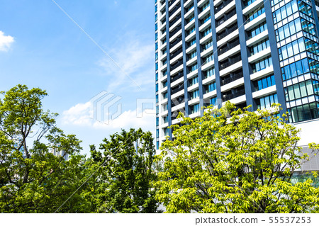 與綠色和塔公寓的都市風景 與綠色和塔公寓的都市風景 55537253
