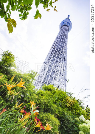 從圓頂花園看的東京天空樹 55537254