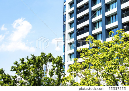 與綠色和塔公寓的都市風景 與綠色和塔公寓的都市風景 55537255