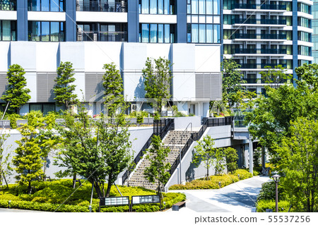 與綠色和塔公寓的都市風景 與綠色和塔公寓的都市風景 55537256