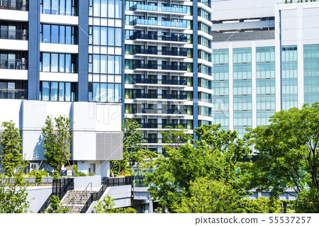 與綠色和塔公寓的都市風景 與綠色和塔公寓的都市風景 55537257