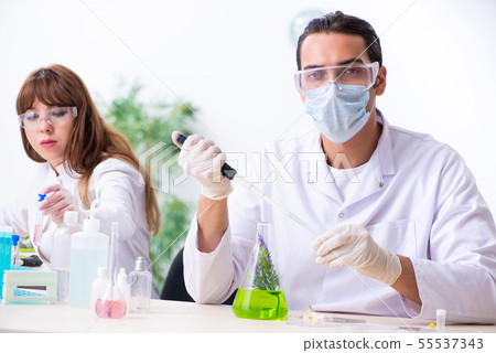 Two chemists working in the lab 55537343