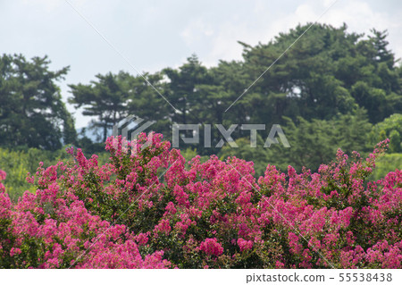 全南道達陽郡Soswonwon 全南道達陽郡Soswonwon 55538438