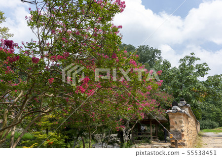 全南道達陽郡Soswonwon 55538451