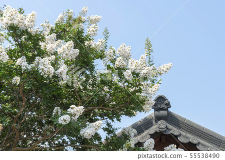 全南道達陽郡Soswonwon 全南道達陽郡Soswonwon 55538490