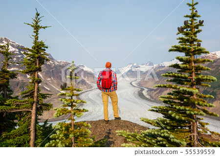 Salmon glacier 55539559