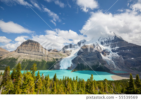 Mt Robson Mt Robson 55539569