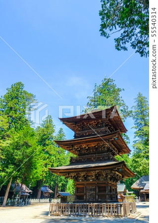 Wakaichi Oji Shrine(三重塔) Wakaichi Oji Shrine(三重塔) 55540314