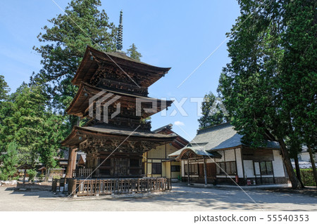 Wakaichi Oji Shrine（三重塔） 55540353