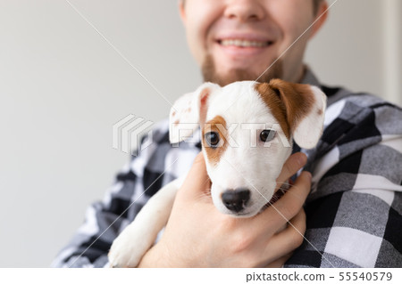People and pet concept - Happy man holding a dog Jack Russell Terrier close up 55540579