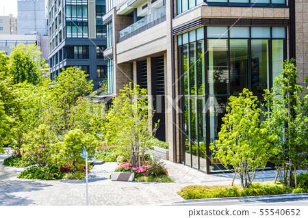 與綠葉和建築物的城市景觀 與綠葉和建築物的城市景觀 55540652