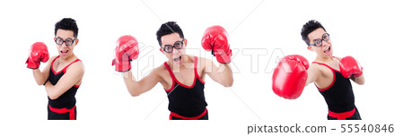 Funny boxer isolated on the white background 55540846
