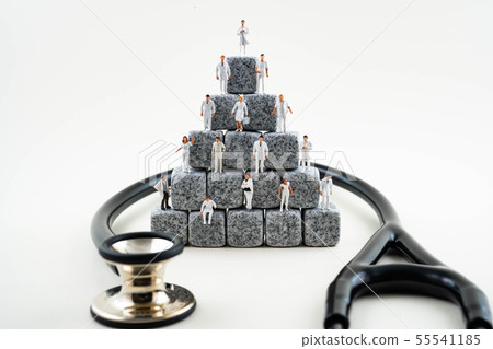 Large hospital physician hierarchy (hierarchical society) 55541185