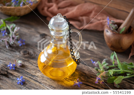 A bottle of borage oil with blooming borage plant A bottle of borage oil with blooming borage plant 55541199